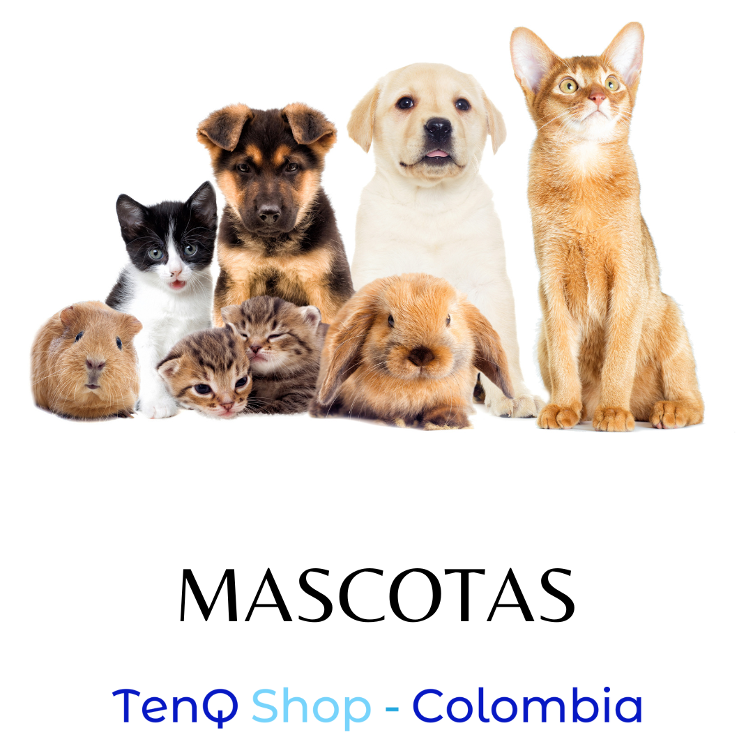 Mascotas