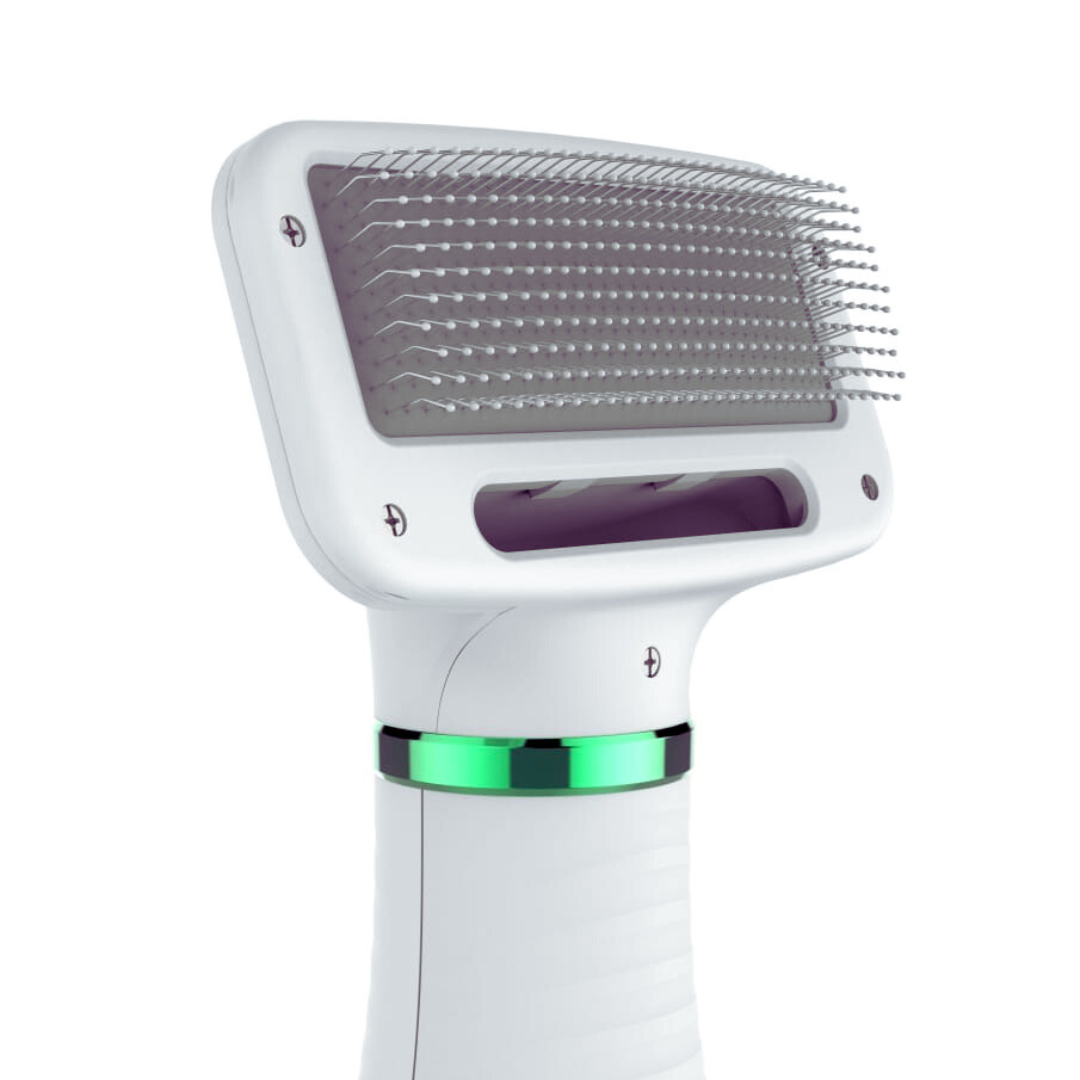 🐾 Secador de Pelo Portátil 2 en 1 para Mascotas – Secado y Cepillado al Instante 🐶🐱