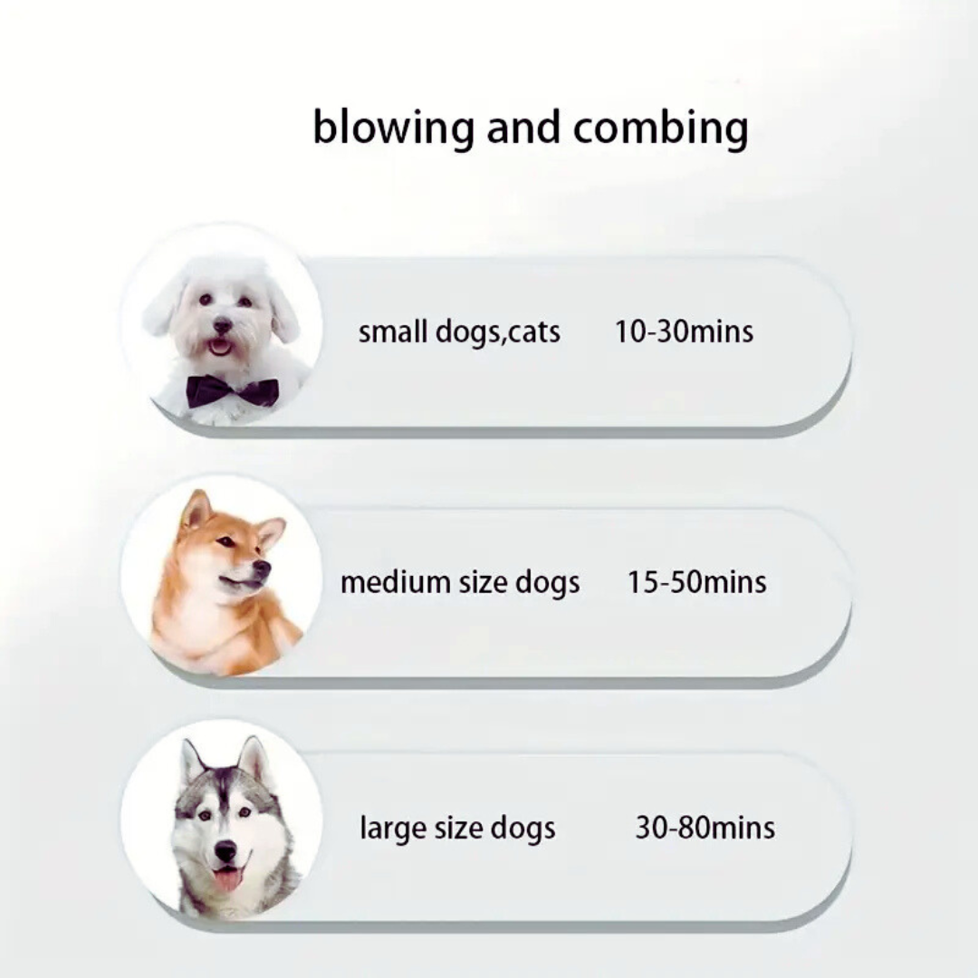 🐾 Secador de Pelo Portátil 2 en 1 para Mascotas – Secado y Cepillado al Instante 🐶🐱