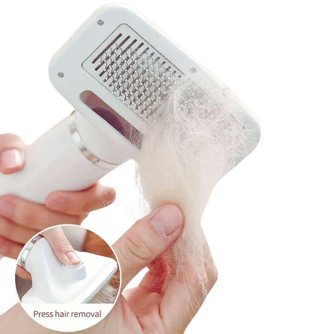 🐾 Secador de Pelo Portátil 2 en 1 para Mascotas – Secado y Cepillado al Instante 🐶🐱